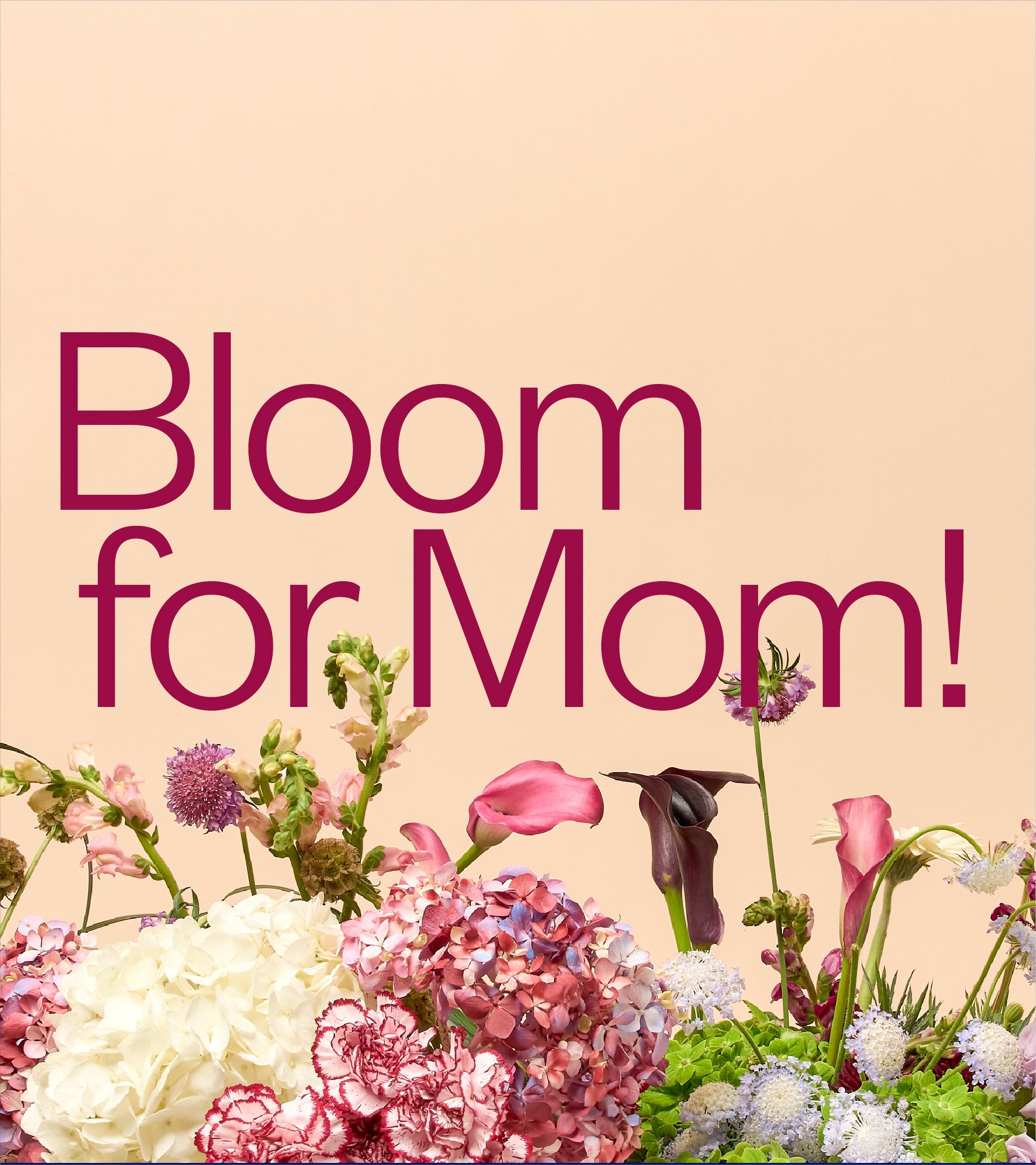 Bloom for Mom