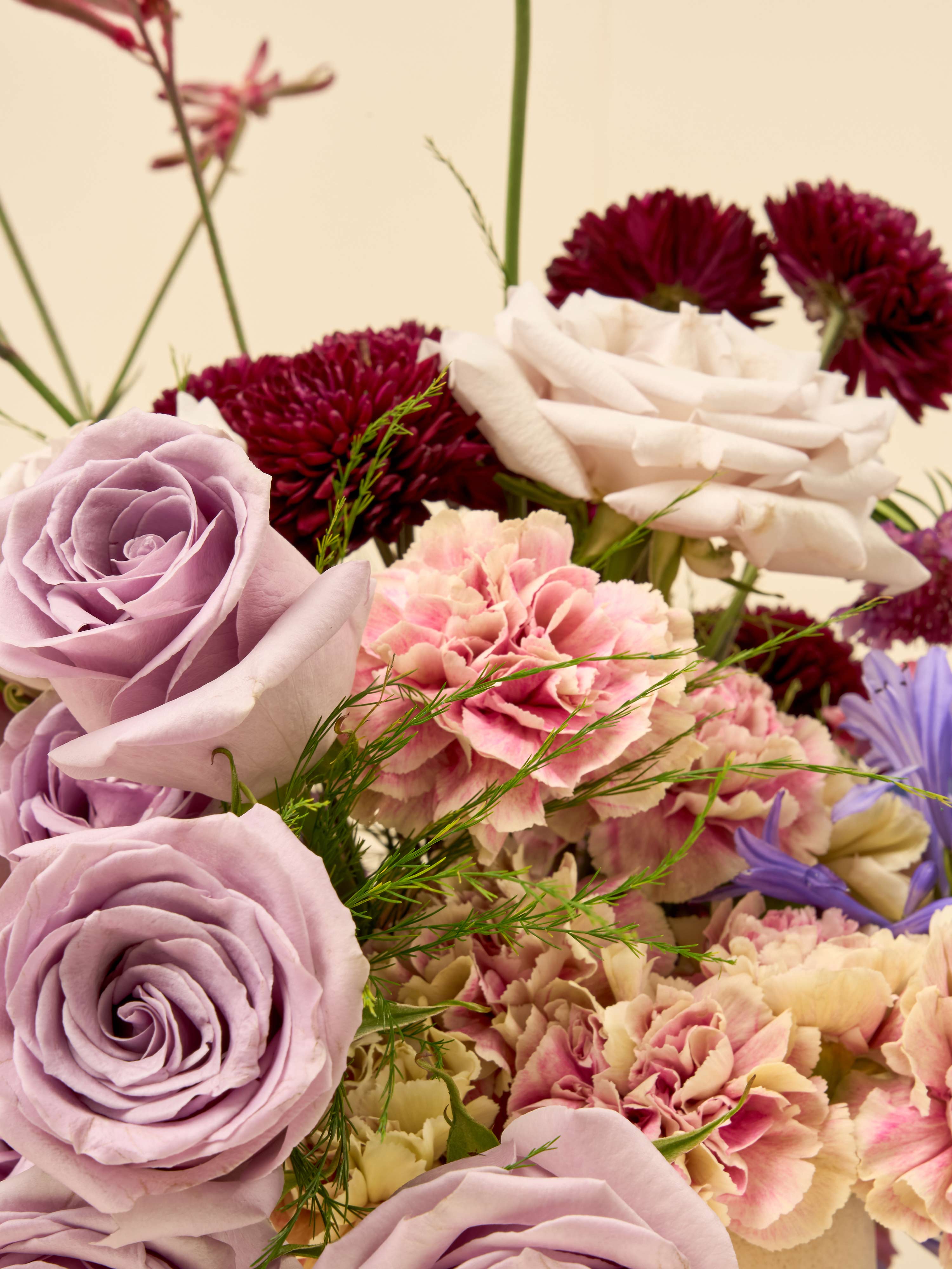 Petal Riot