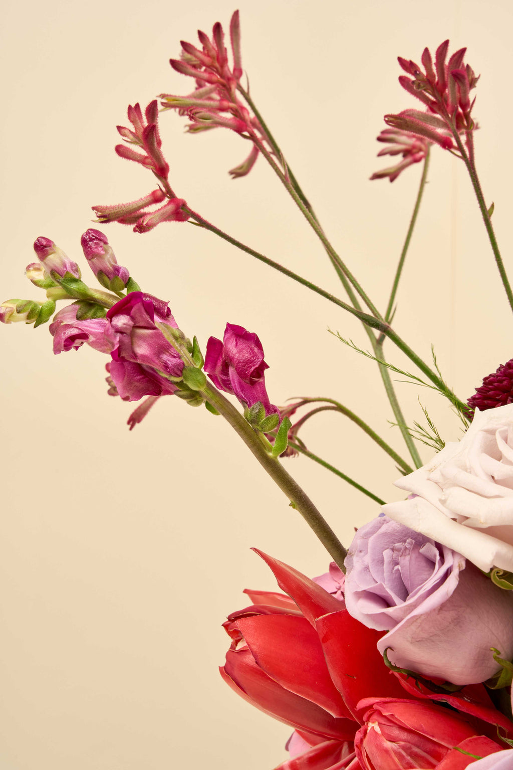 Petal Riot
