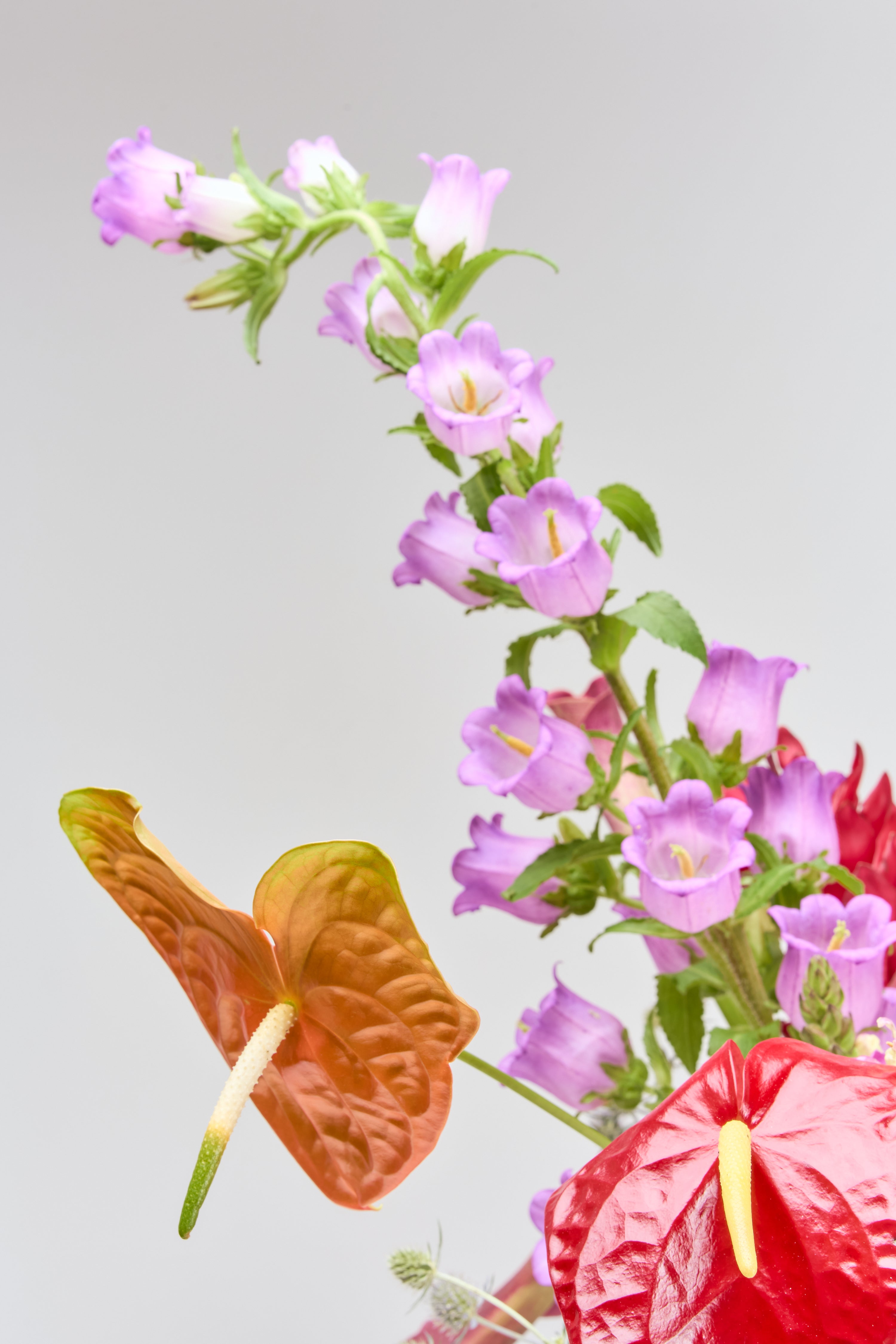 Berry Punch Bouquet